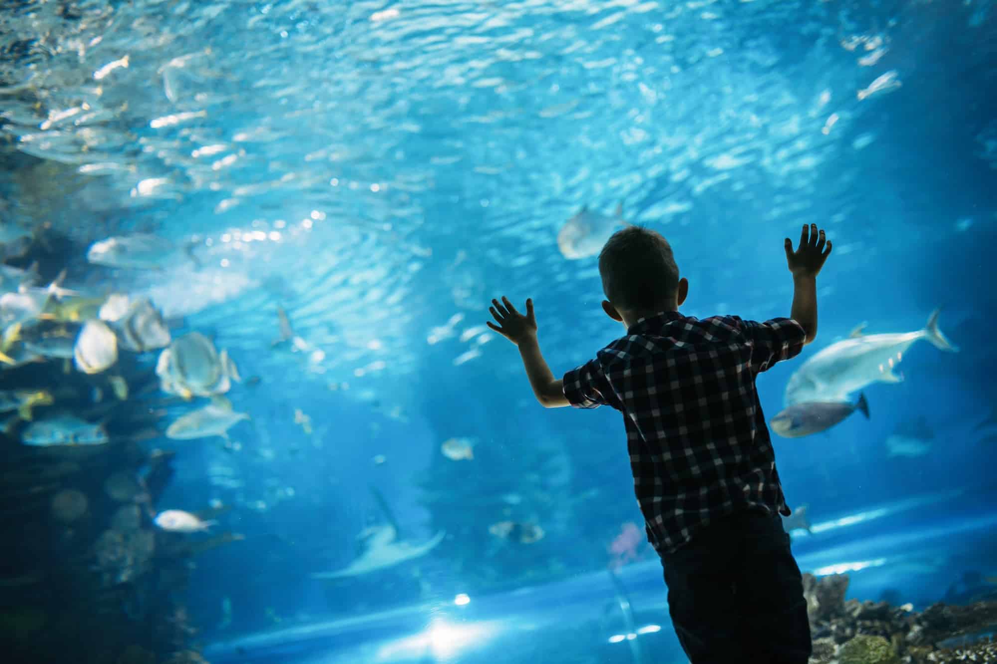 Miami Seaquarium